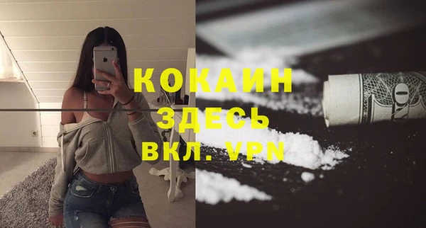 винт Алзамай