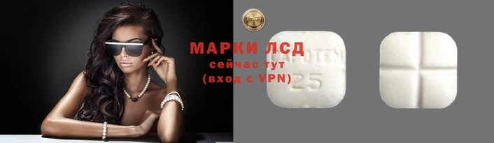 винт Алзамай